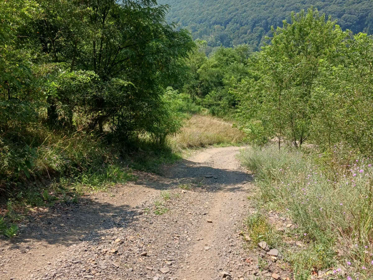 Little Buck Hill - Rock Run Recreation Area photo 3
