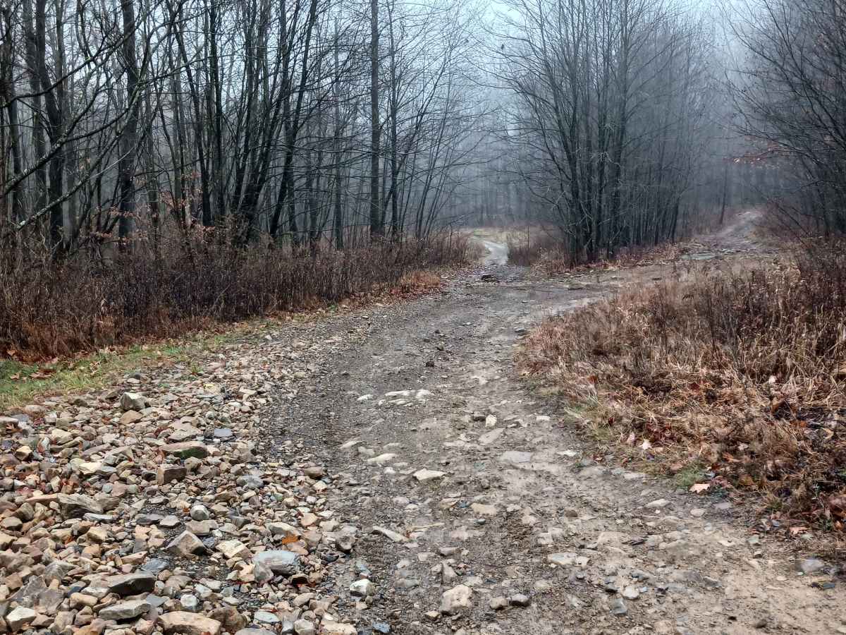 Between Rock - Rock Run Recreation Area photo 4