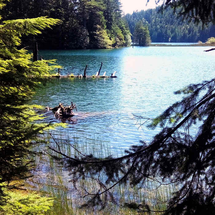 Near Mountain Lake Loop