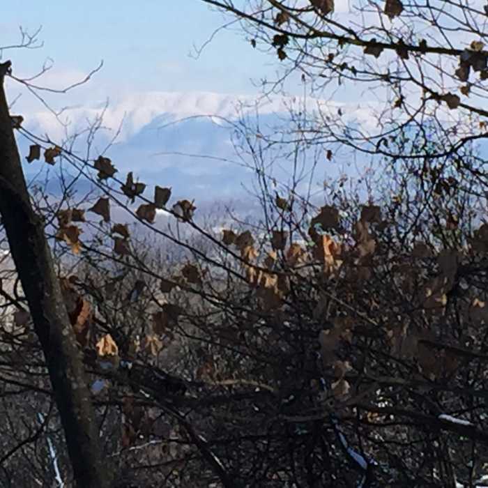 Near Fox Ridge Trail