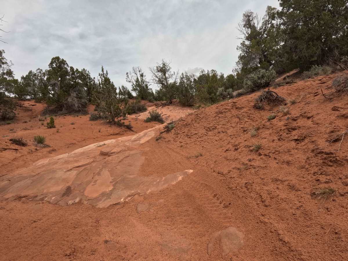 BLM 64T photo 3