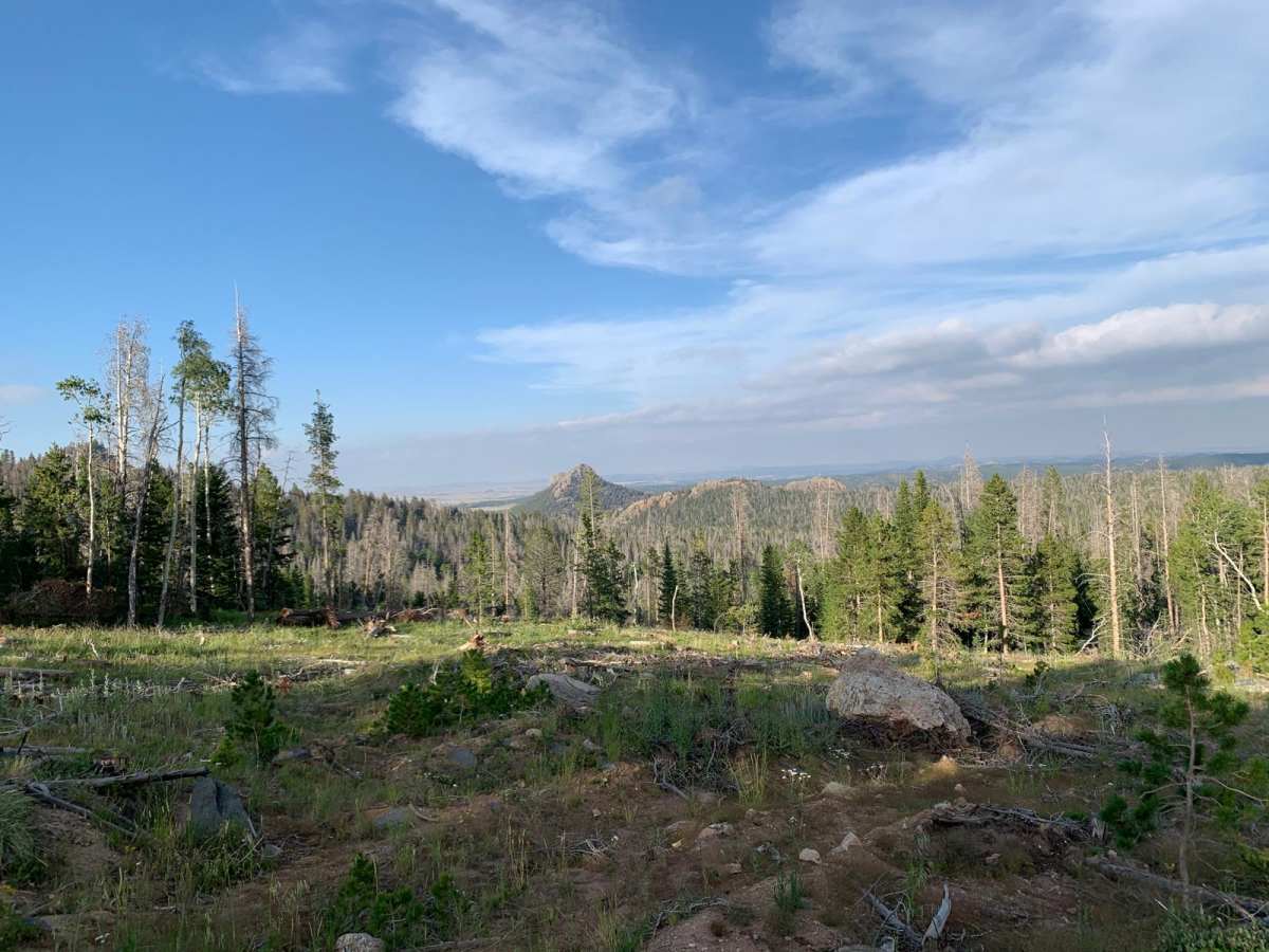 McAfee Rd. photo 3