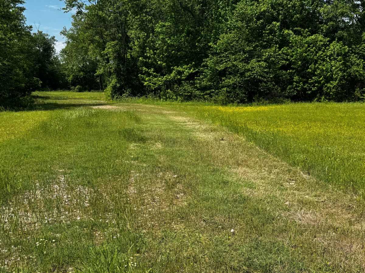 Trucks Only Arena Through trail photo