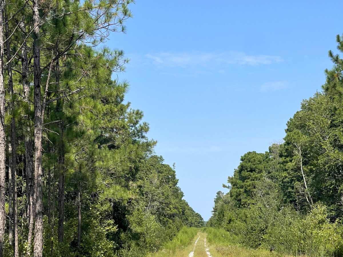 Elmur Road photo 5