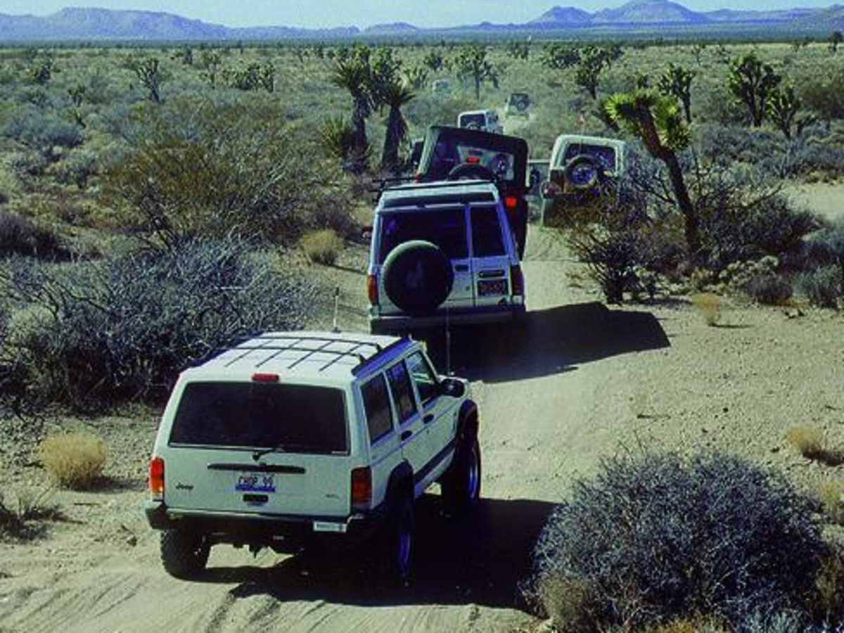 Mojave Road, East photo 4