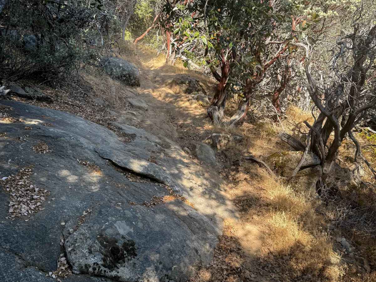 21E241 trail photo