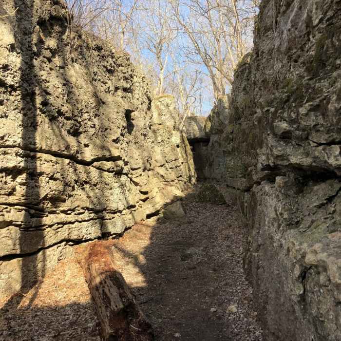 This is a neat "hidden" area of the trail. The trail looks to go in front of the ledge of rocks, but you can go between a couple of rocks to get back in here. It's blazed to indicate it's trail, it's just easy to miss. Near Elk River Trail