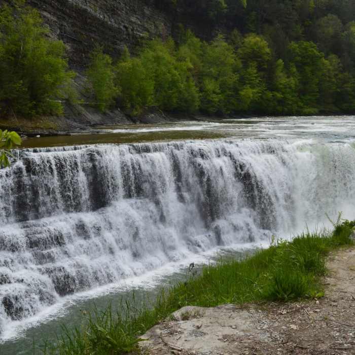 Near Letchworth West Gorge Trail Near Letchworth West Gorge Trail