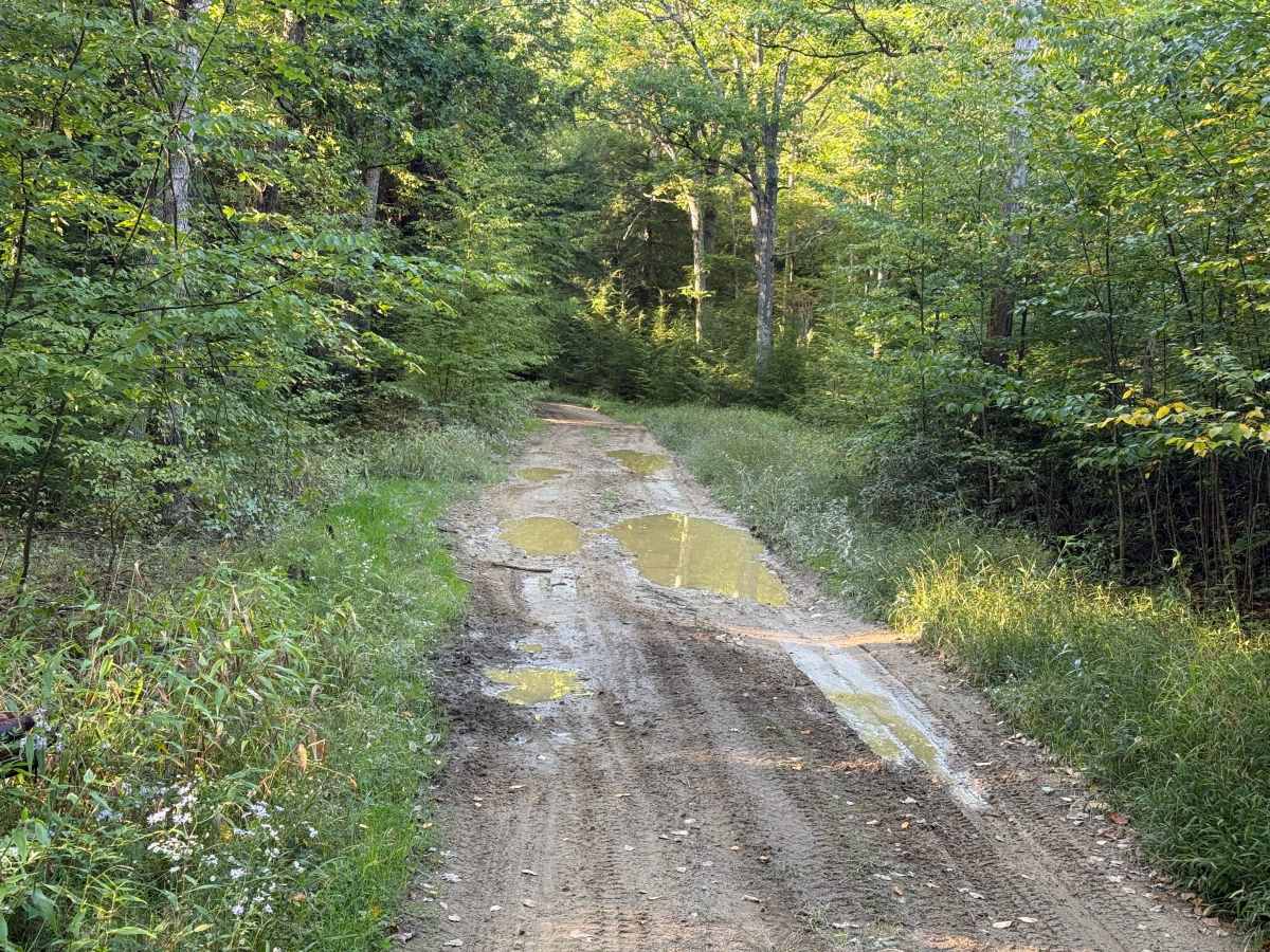 Brothwell Run - FS 625 photo 6