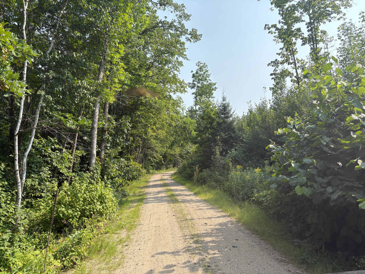North Smokey Hills Forest Road photo 4