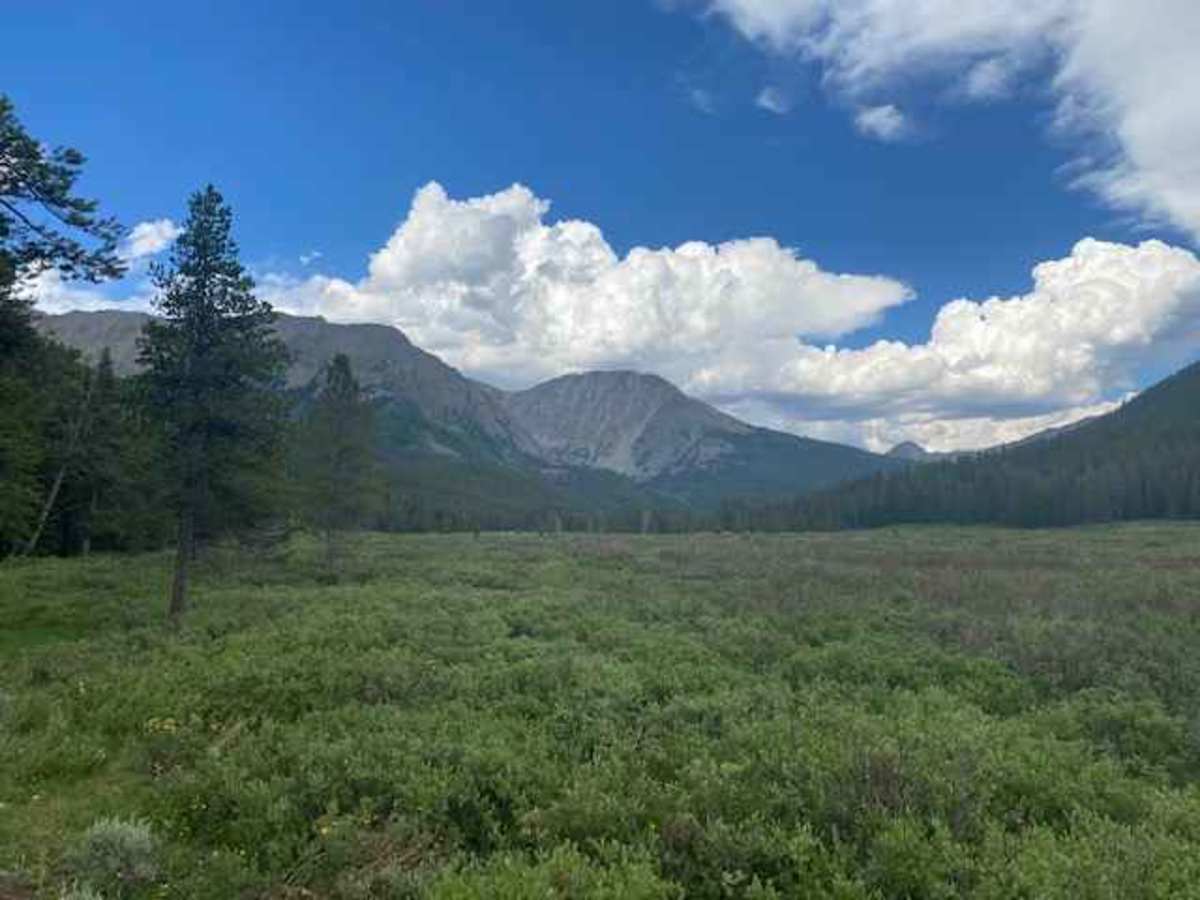 Texas Creek (FSR 755) photo 5