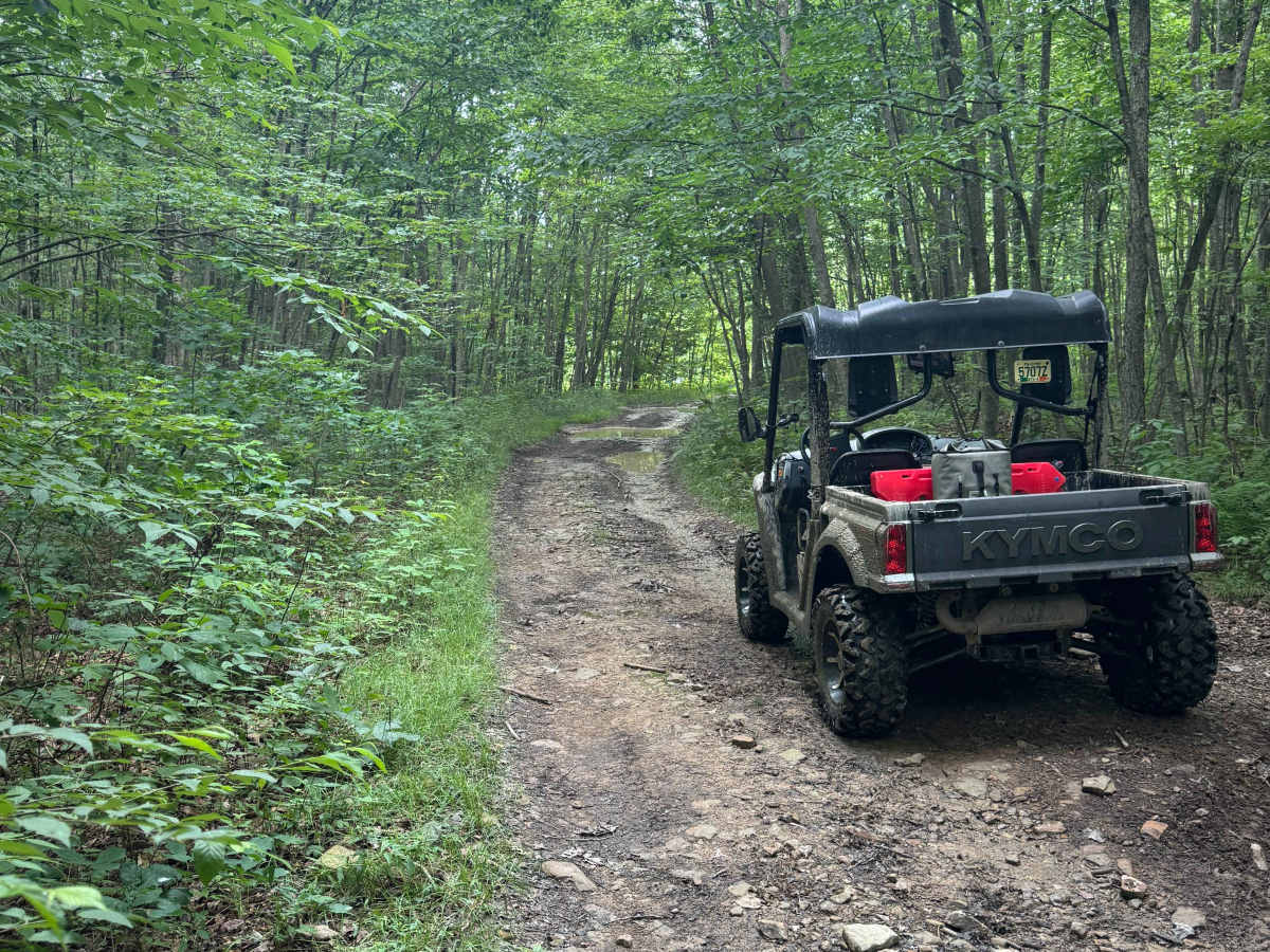 Trail 82 trail photo