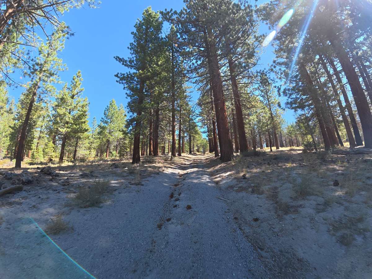 FS 1S147 trail photo