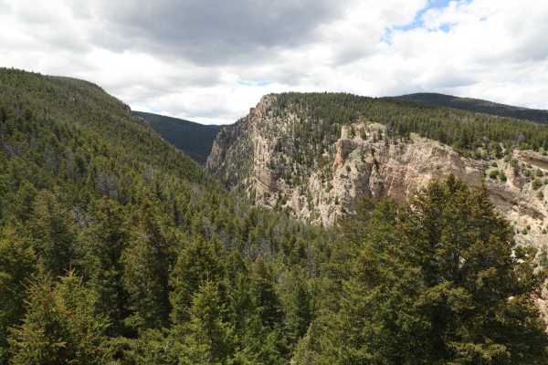 554 Wildcat and 528 Geyser Creek