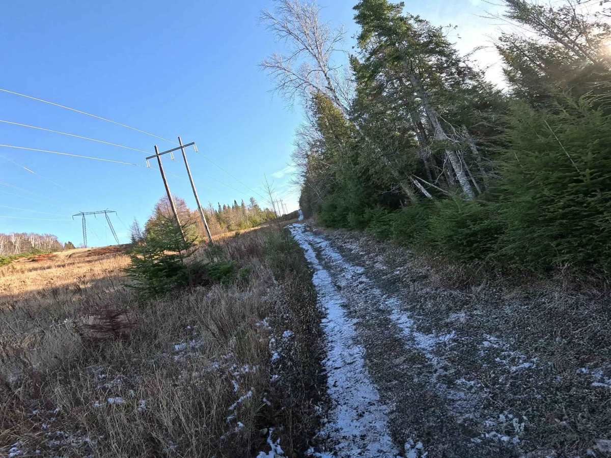 Trip Settlement Easy Hydro Line photo 5