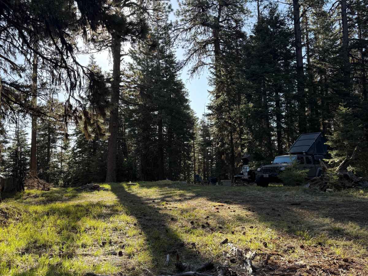 Wildcat Mountain Trail - FS 3350 photo 2