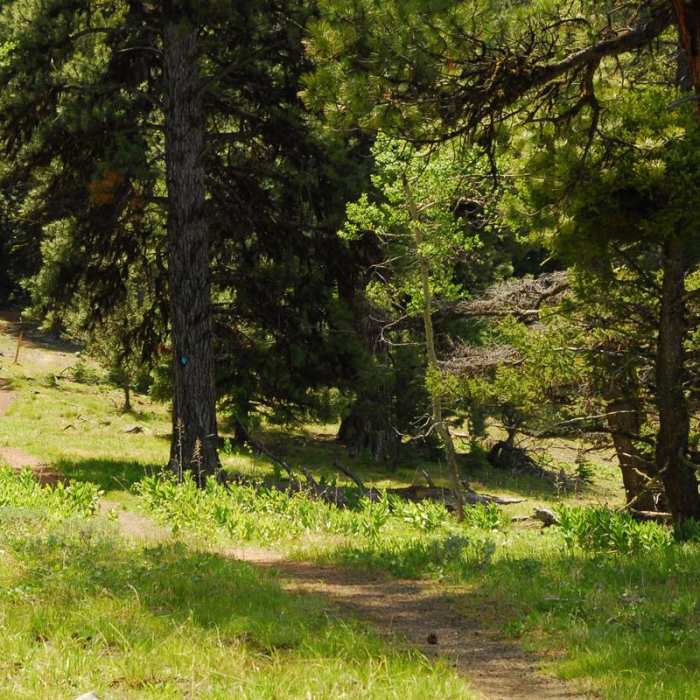 Near Lookout Mountain + Mother Lode Mine
