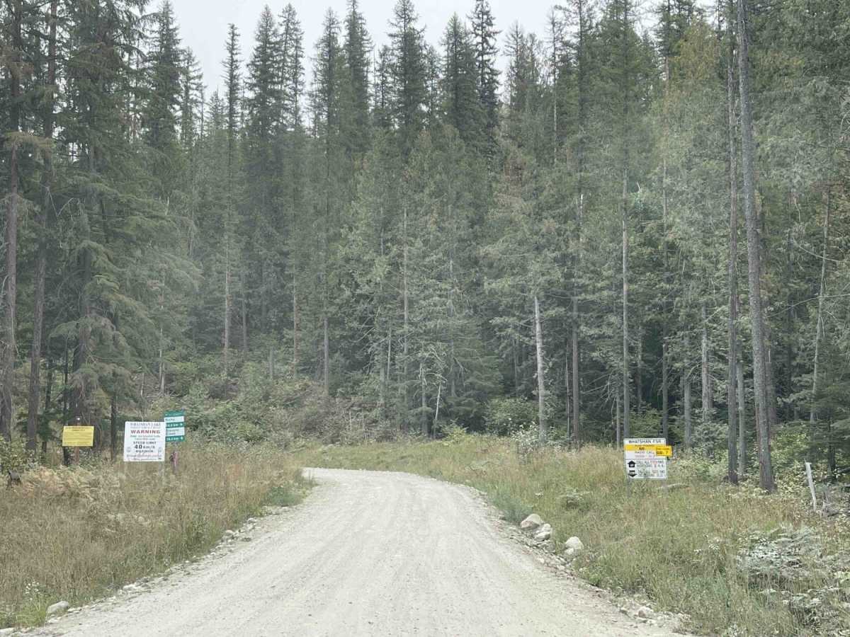 Whatshan FSR to Ritchy Rec Site photo 2