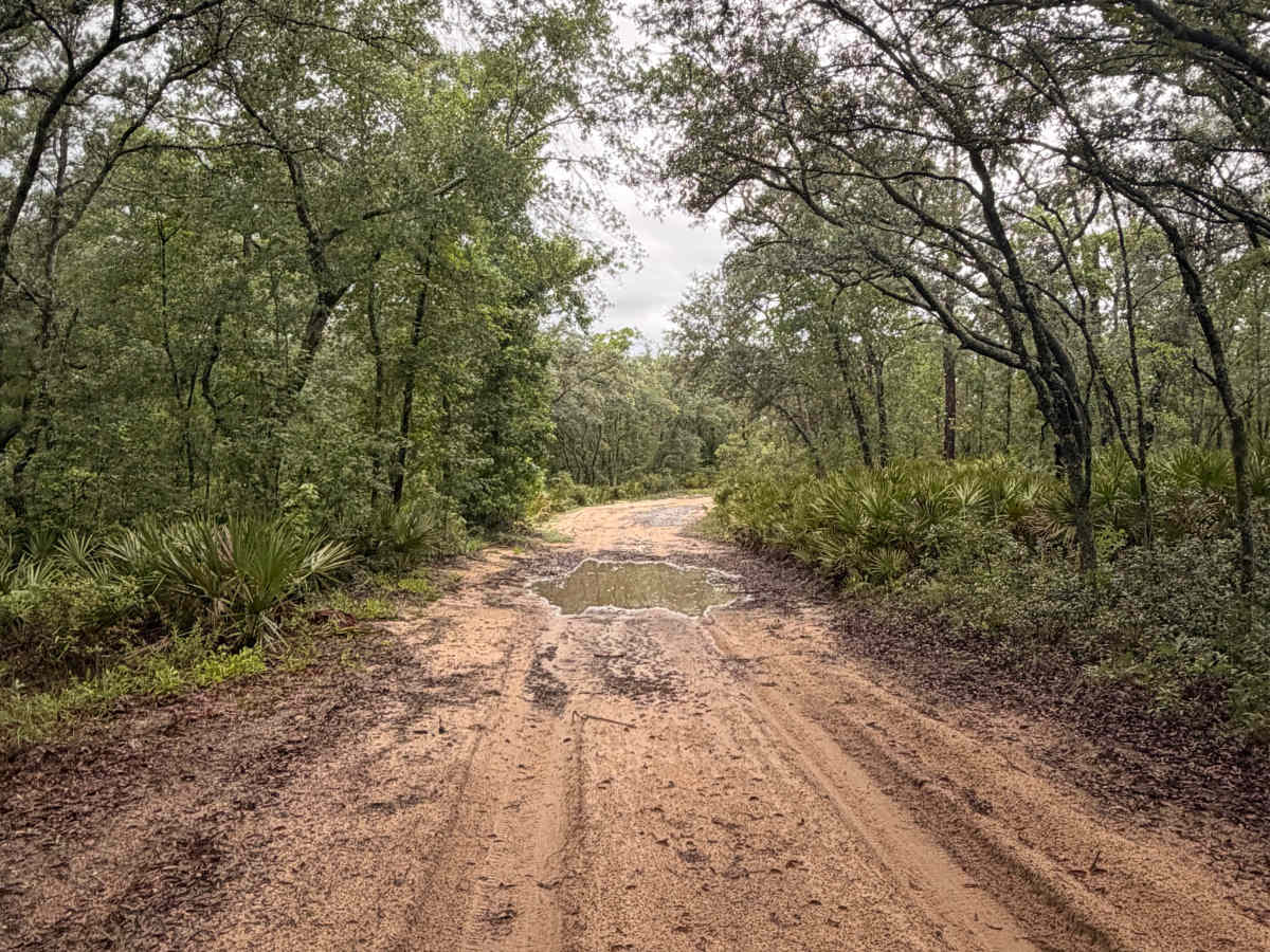 Griffin Ridge WMA photo 2