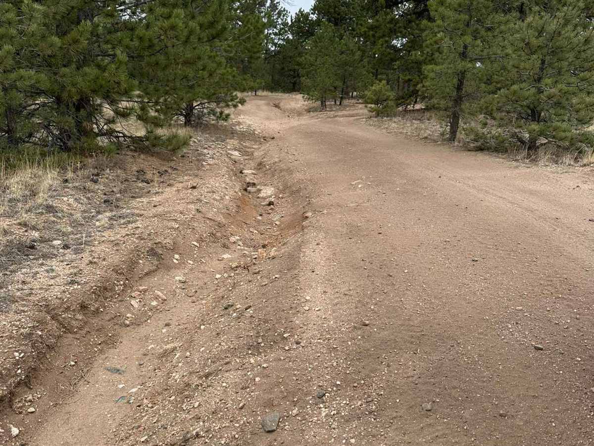 Handy Road trail photo