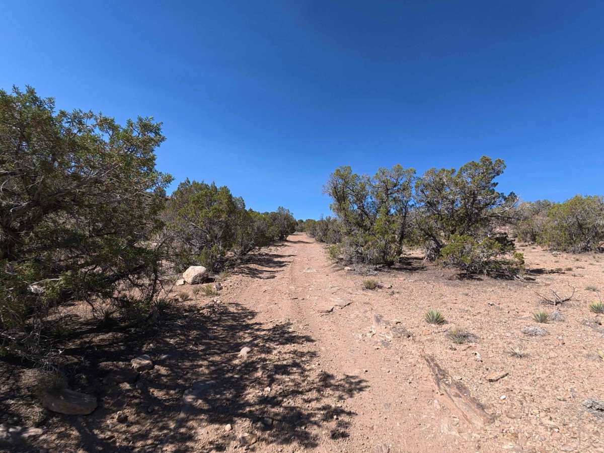 Burch Loop photo 5