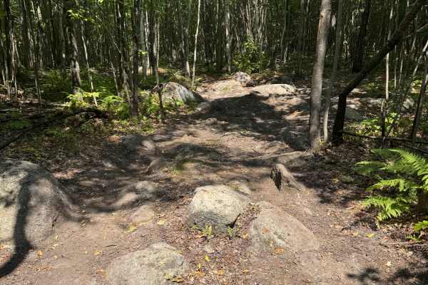Jericho Mountain 4x4 Truck & Jeep trail - Main Trail 