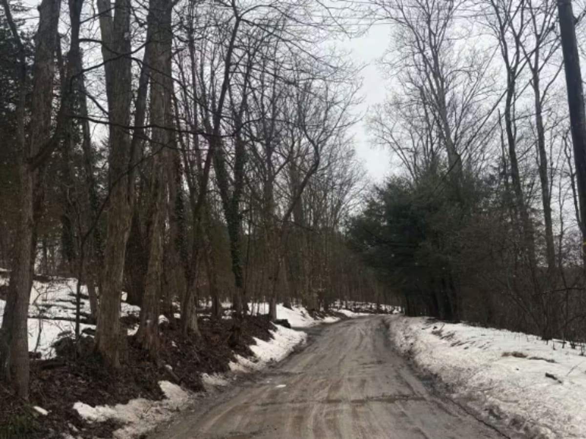 Ridge Valley Road  photo 5