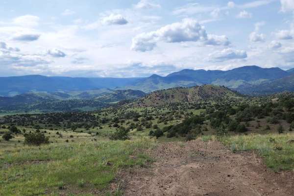 Pinon Cut Off