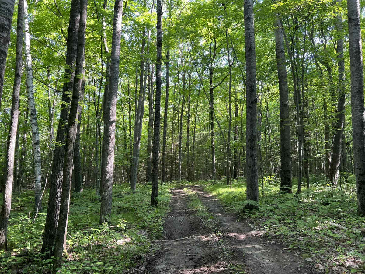 Forest County ATV/ SxS Area Hill Climb Access photo 5