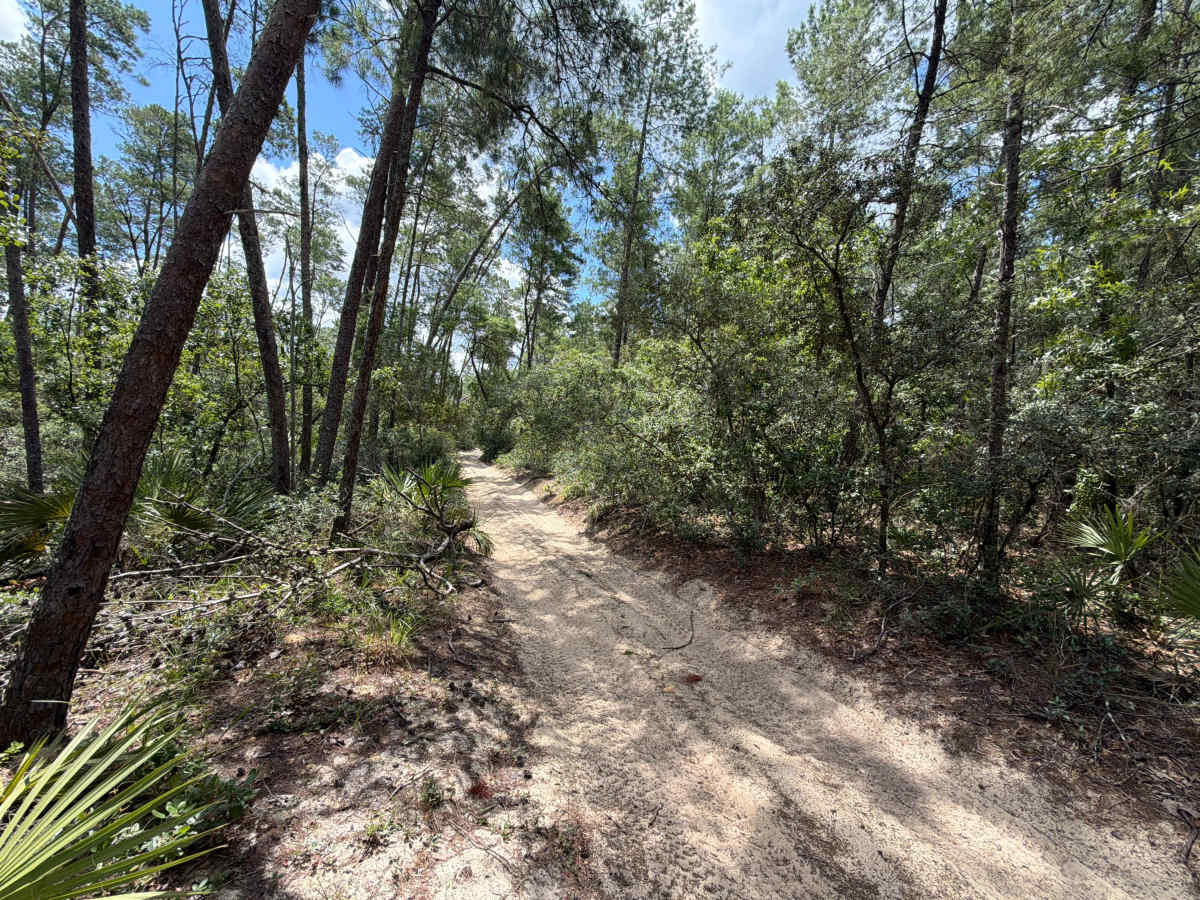 Centennial South - FS 520 photo 3