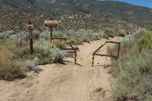Piru Creek - FS 20W07