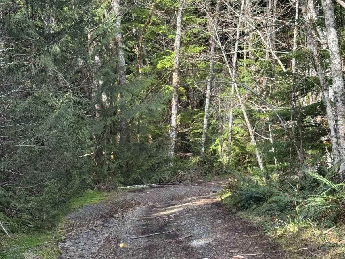 Winston Road- FS 7415 photo 4