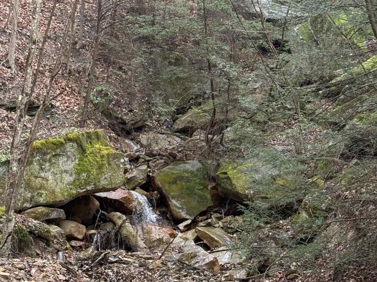 Q2 trail photo