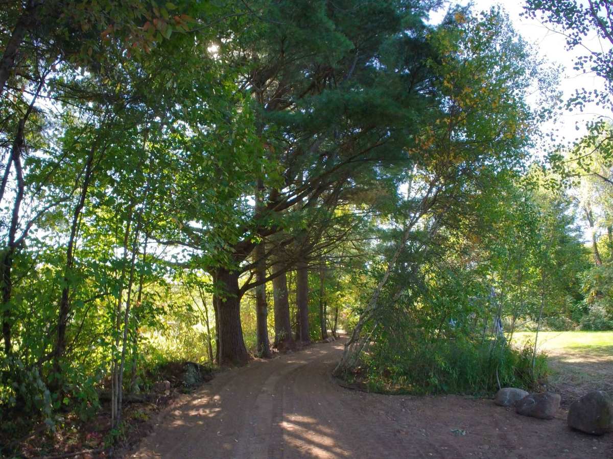St. Lawrence County Multi-Use Trail - Southern Section trail photo