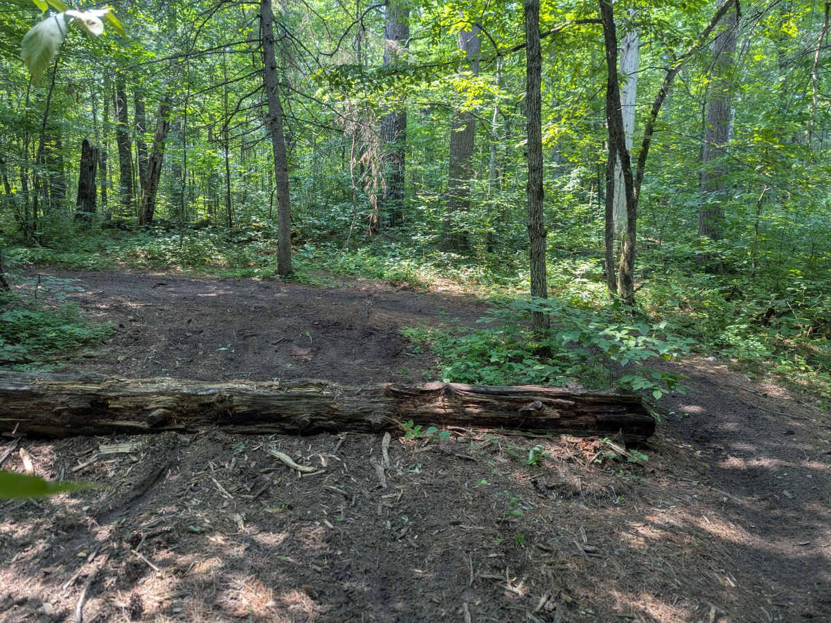 Outer Loop photo 2
