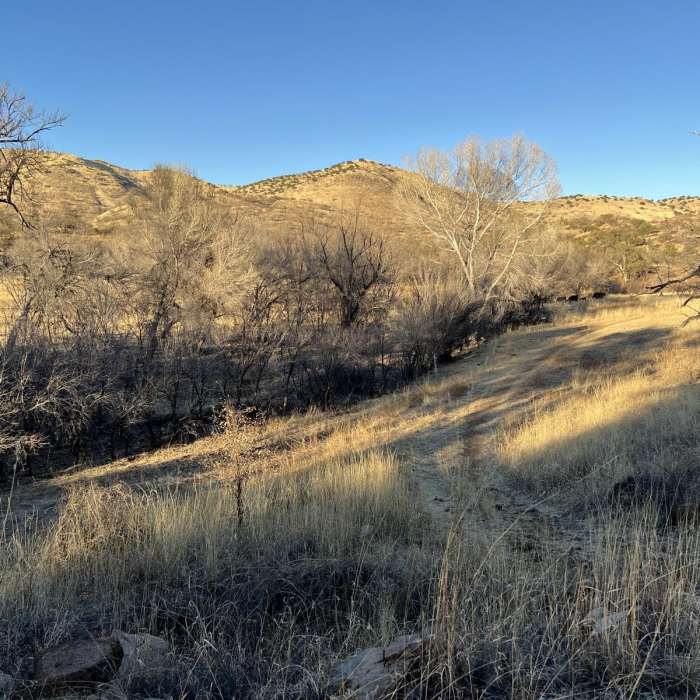 Near Arizona Trail Passage 3: Canelo Hills West