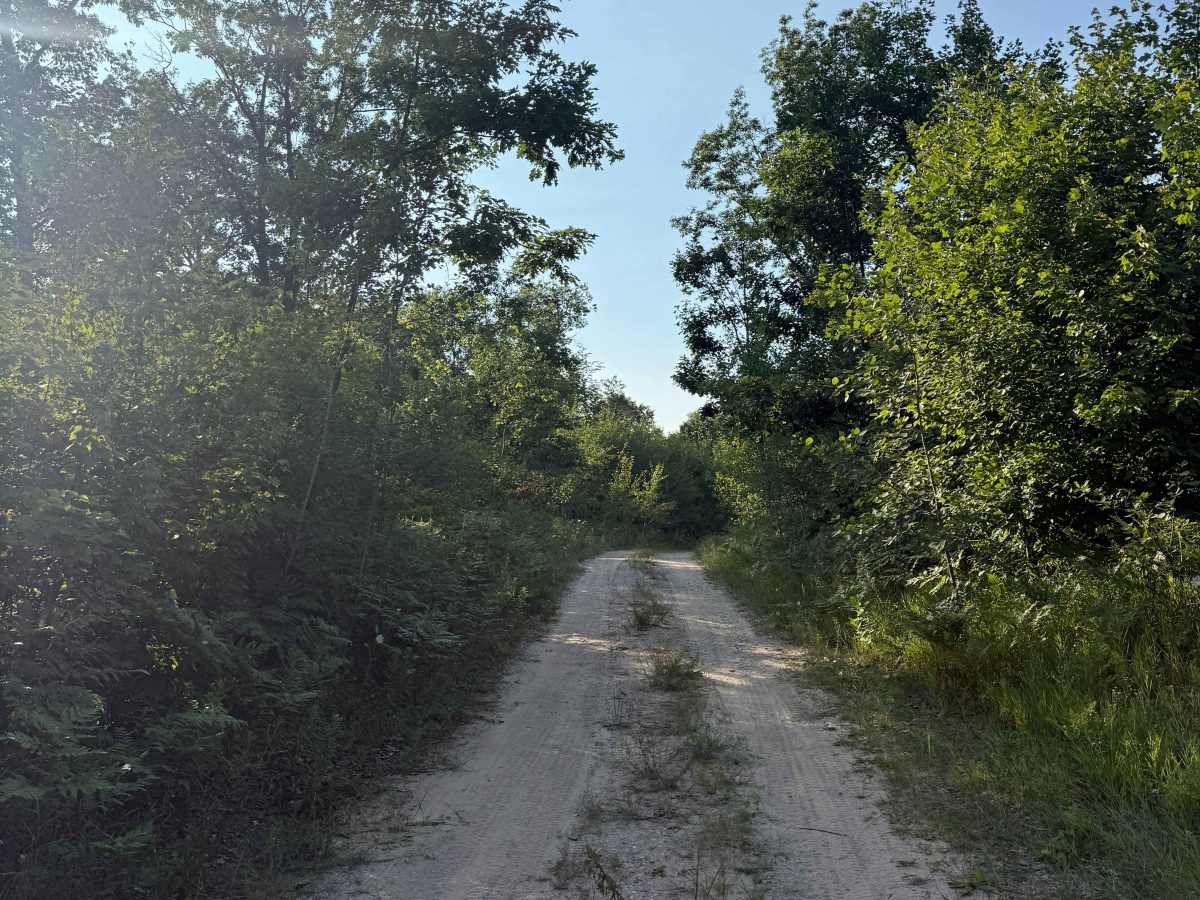 Iron Horse Trail photo 3