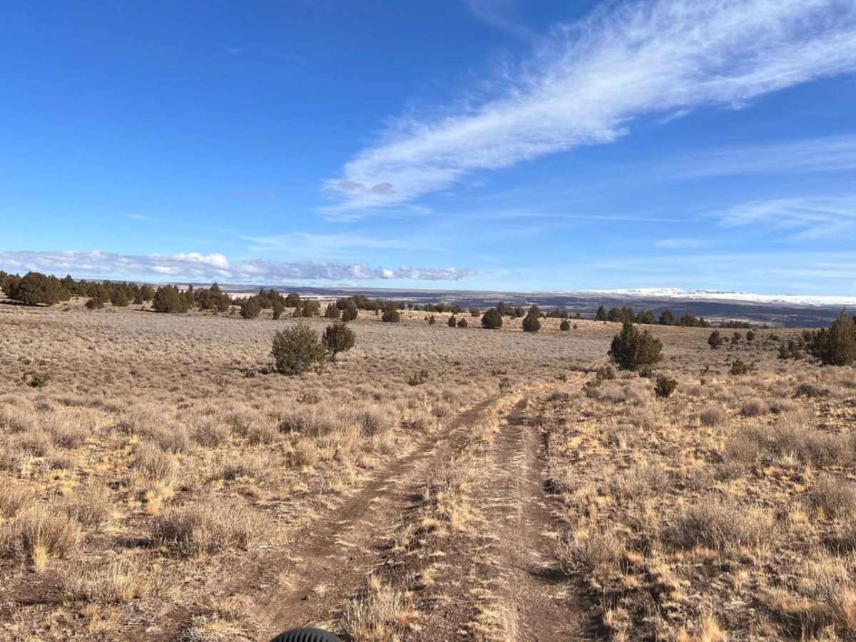 Mustang Tank Trail photo 3