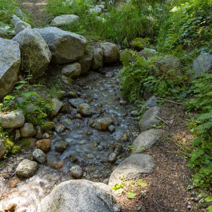 Near Lilypad Lake Via Poison Canyon Trail
