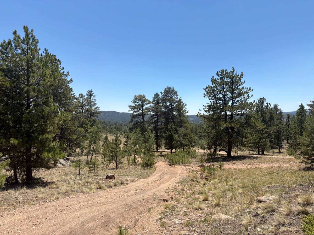 S.T.I.T. Road - FS 244B trail photo
