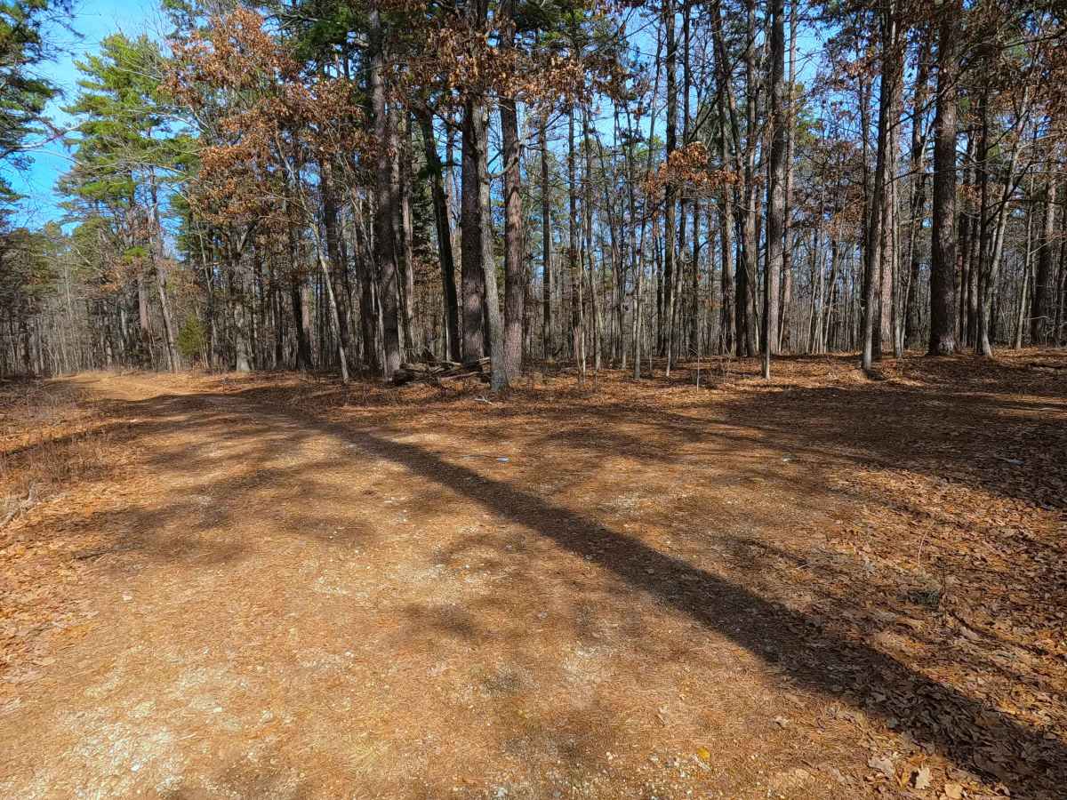 Tucker Road - FS 4099 photo 4