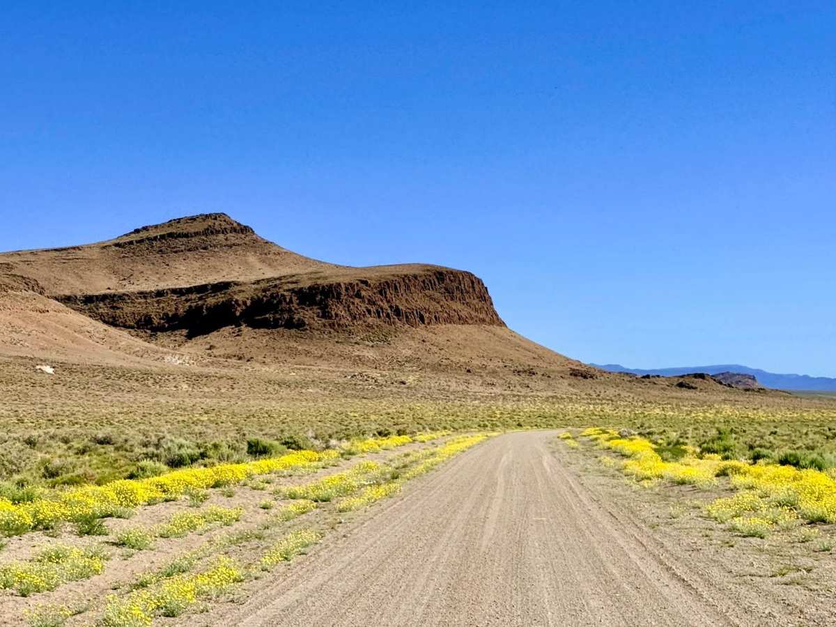 South Willow Creek Road trail photo