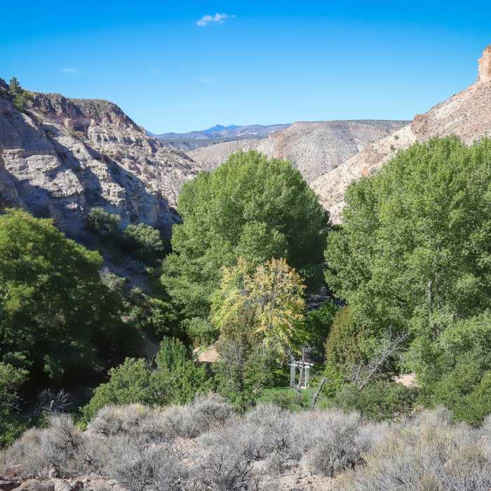 Near Kershaw Ryan State Park's Overlook Loop