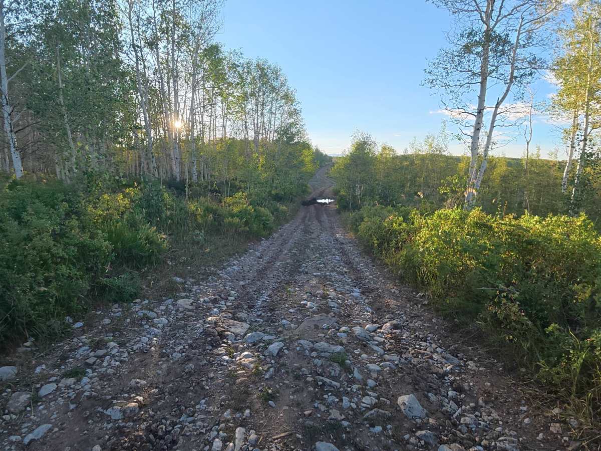 Homestead Road photo 4