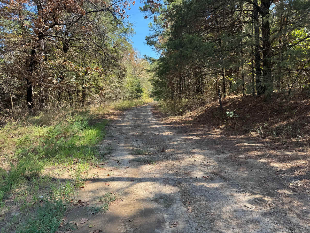 McReynolds Cemetery Road photo 5