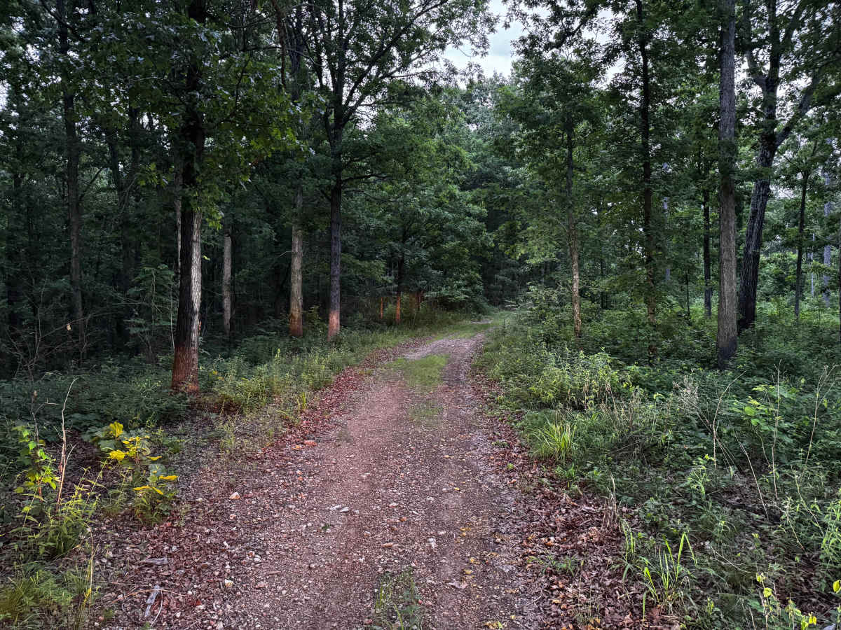 91079B photo 4