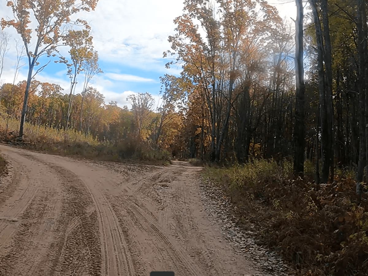 Mark Knee Memorial Grouse Trail photo 3