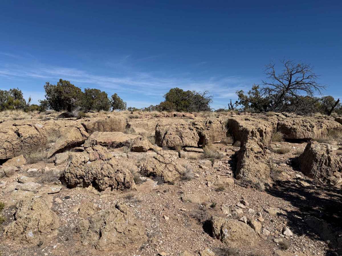Dragon Scale Rocks photo 2
