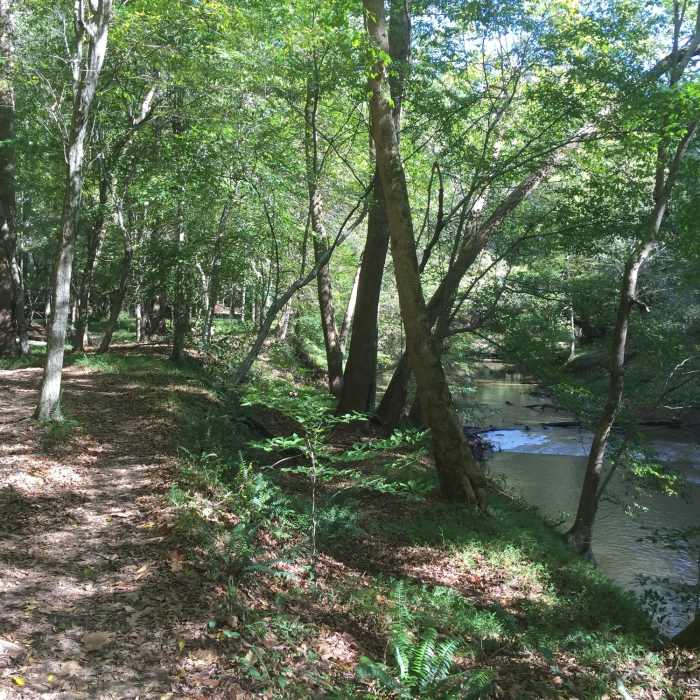 Near Company Mill Trail