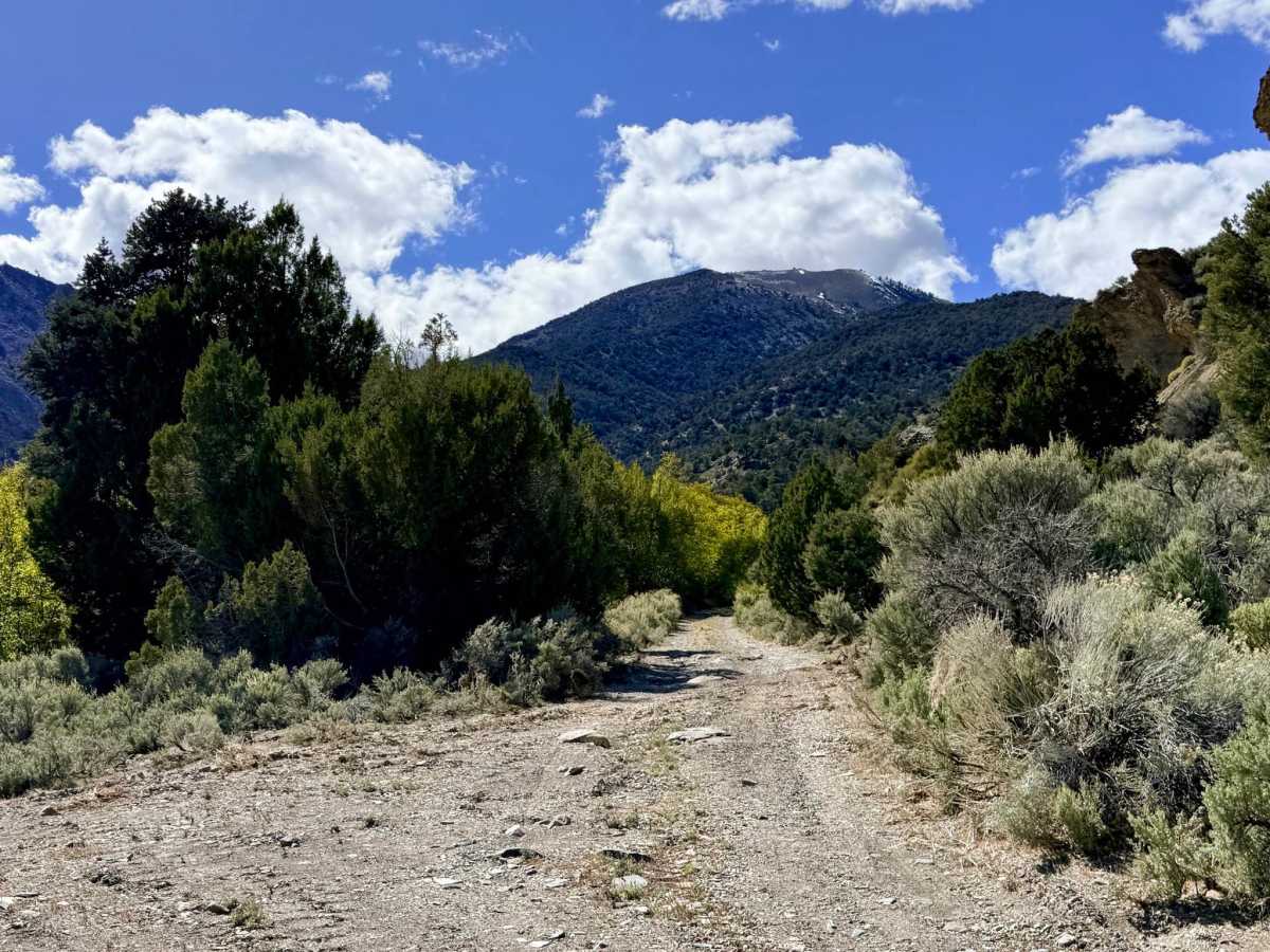 Bowman Creek FS43307 photo 6